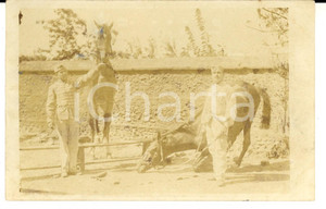Fotografia d epoca originale 1910 ca FRANCIA Passatempi di un soldato durante la crisi Foto CURIOSA 1