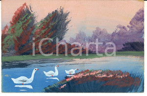 Cartolina originale da collezione 1910 ca FRANCIA Anatre nuotano su un lago Bozzetto per cartolina DIPINTO A MANO 1