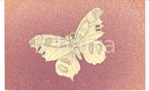 Cartolina originale da collezione 1920 ca FRANCIA Cartolina con farfalla in volo ARTISTICA DISEGNATA A MANO 1