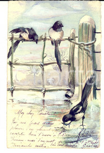 Cartolina originale da collezione 1902 BAUGE  F R. ANDRE  Carte postale avec des hirondelles HANDMADE 1