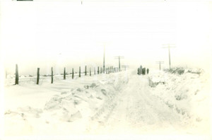 Fotografia d epoca originale 1917 BEAVER, PENNSYLVANIA USA Carrozza attraversa la Route 204 sgombra da neve 1