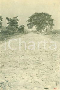 Fotografia d epoca originale 1908 DEERFIELD, PENNSYLVANIA USA Strato di ghiaia per nuova strada W.C. EVANS 1