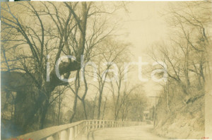 Fotografia d epoca originale 1909 LAMAR, PENNSYLVANIA USA Fishing Creek Road ricostruita Fotografia 1