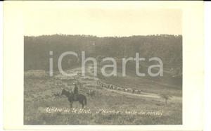 Fotografia d epoca originale 1910 ca EL HARCHA MAROC LisiÃ¨re de la foret  Halte du convoi Photo sÃ©riale 1
