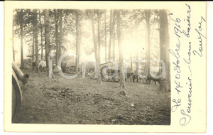 Fotografia d epoca originale 1916 WW1 FRANCE Carri con i rifornimenti per le truppe in un bosco Foto FP 1