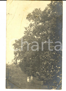 Cartolina originale da collezione 1914 COSTUMI Coppia di fratellini in un bosco Cartolina postale FP VG 1