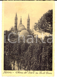 Cartolina originale da collezione 1935 PADOVA Chiesa del Santo da Ponte Corvo Cartolina a Giunio Bruto CRIPPA 1