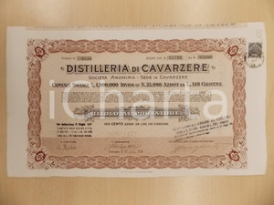 Oggetto da collezione cartaceo 1926 S. A. DISTILLERIA DI CAVARZERE Certificato azionario al portatore 1 1