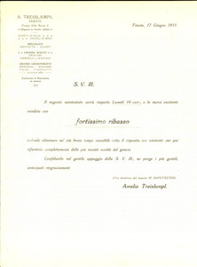 Documento originale, autentico 1911 TRIESTE Svendita Amelia TREISLAMP Oggetti di pelle Pubblicitario 1