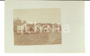 Fotografia d epoca originale 1915 WW1 LOMBARDIA ? Militari in posa con i cavalli del reggimento Foto FP 1