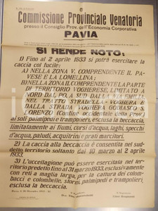 Documento originale, autentico 1932 PAVIA Norme per l esercizio della caccia con il fucile Manifesto 60x80 1