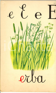 Stampa, bozzetto originale 1970 SCUOLE ELEMENTARI Alfabeto murale ILLUSTRATO Lettera E Ed. FABBRI 22x35 1