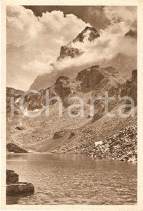 Cartolina originale da collezione 1950 ca ALPI CUNEESI Monviso visto da LAGO FIORENZA Cartolina FG NV 1