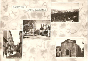 Cartolina originale da collezione 1950 ca TEMPIO PAUSANIA OT Vedutine con Via Roma e pineta Cartolina FG NV 1