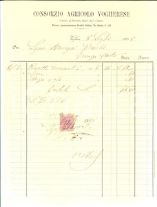 Documento originale, autentico 1898 VOGHERA PV Consorzio Agricolo Vogherese  Fattura manoscritta con bollo 1
