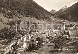 Cartolina originale da collezione 1962 GEROLA ALTA SO Panorama del paese Cartolina FG VG 1