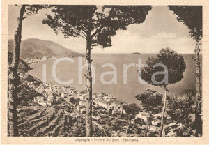Cartolina originale da collezione 1950 ca LAIGUEGLIA SV Panorama con pini marittimi Cartolina FG NV 1