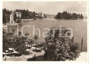 Cartolina originale da collezione 1954 VERBANIA Frazione PALLANZA Panorama con Lago Maggiore Cartolina FG VG 1