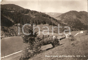 Cartolina originale da collezione 1959 PRESTINE BS Prati e pinete di CAMPOLARO Cartolina FG VG 1