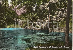 Cartolina originale da collezione 1959 AGLIE  CANAVESE TO Laghetto del Meleto Cartolina FG VG 1
