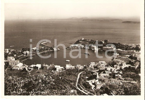 Cartolina originale da collezione 1958 ISCHIA NA Panorama con porto Cartolina FG VG 1