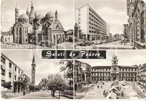 Cartolina originale da collezione 1966 PADOVA Vedutine Largo Europa Viale Arcella Piazza Signori Cartolina FG VG 1