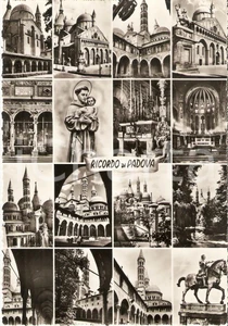Cartolina originale da collezione 1950 ca PADOVA Vedutine della cittÃ  Cartolina FG VG 1
