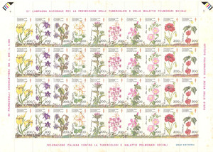 Oggetto da collezione cartaceo 1988  51° Campagna prevenzione TUBERCOLOSI  e malattie polmonari 40 Erinnofili 1