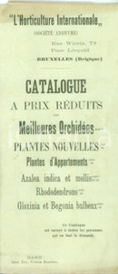 Giornale, rivista storica 1890 ca BRUXELLES L Horticolture Internationale Catalogue plantes nouvelles 1