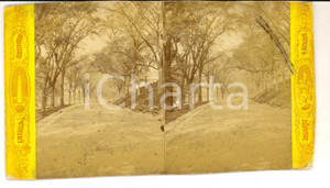 Fotografia d epoca originale 1880 BOSTON MA, USA The BOSTO COMMON park AMERICA ILLUSTRATED Stereoview 1