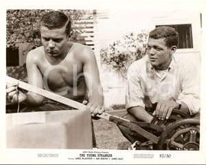 Fotografia d epoca originale 1957 YOUNG STRANGER James MACARTHUR aggiusta tosaerba manuale Foto di scena 1