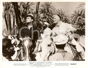 Fotografia d epoca originale 1955 OASIS Pierre BRASSEUR MichÃ¨le MORGAN cavalcata nell oasi Foto di scena 1