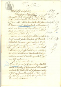 Documento originale, autentico 1881 CA  DE QUINZANI Agostino e Giuseppe BIAZZI vendono quota stabili ereditata 1