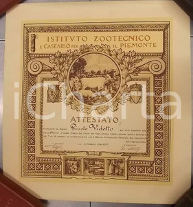 Documento originale, autentico 1936 TORINO Istituto Zootecnico Caseario Diploma capostalla Giusto VIDOTTO 1