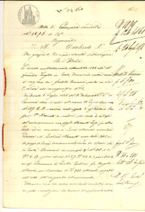 Documento originale, autentico 1878 ISOLA DOVARESE Cesira e Carolina MAZZOTTI vendono terra ai fratelli SPEDINI 1