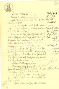 Documento originale, autentico 1904 SPINEDA CR Vendita interessenze immobiliari Vincenzo OTTOLINI al fratello 1