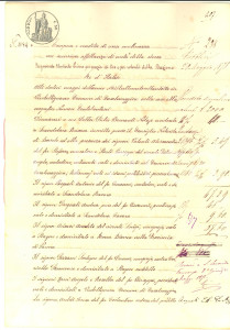 Documento originale, autentico 1878 ROCCABIANCA PR Antonio PASQUALI vende mulinazza sul Po Manoscritto 1
