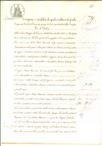 Documento originale, autentico 1878 SCANDOLARA RAVARA Francesco RIZZI vende campo VACCHELLI a Giovanni CHITTO 1