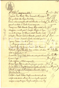 Documento originale, autentico 1904 BORGOLIETO CR Orsola ZAMPI vende casa a Pietro PAPINI Manoscritto 1