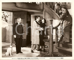 Fotografia d epoca originale 1949 TELL IT TO THE JUDGE Gig YOUNG Rosalind RUSSELL Billy BEVAN Pattini Foto 1
