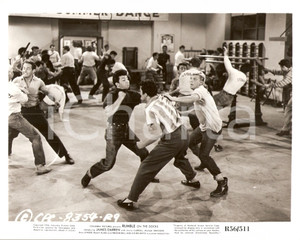 Fotografia d epoca originale 1956 RUMBLE ON THE DOCKS Rissa in palestra nel film di Fred F. SEARS Foto 25X20 1