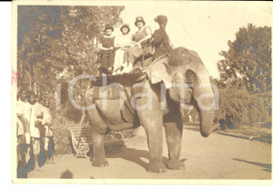 Fotografia d epoca originale 1925 BOMBAY Turisti in gita su un elefante Fotografia VINTAGE16x11 cm 1