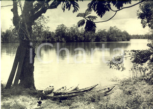 Fotografia d epoca originale 1960 ca GABON Fiume nella foresta equatoriale Foto ARTISTICA 30x24 cm 1