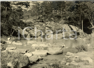 Fotografia d epoca originale 1960 ca SENEGAL ? Un lago nella foresta Fotografia ARTISTICA 30x24 cm 1