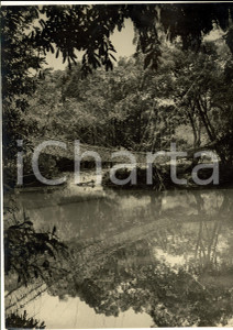 Fotografia d epoca originale 1960 ca GABON Foresta equatoriale con ponte di corda Foto ARTISTICA 21x30 1