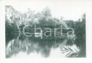 Fotografia d epoca originale 1953 WINTER HAVEN, FLORIDA USA In barca sul lago a CYPRESS GARDENS Fotografia 1