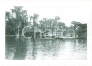 Fotografia d epoca originale 1953 WINTER HAVEN, FLORIDA USA Attracco barche al CYPRESS GARDENS Fotografia 1