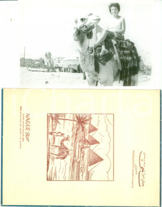 Fotografia d epoca originale 1960 ca IL CAIRO EGITTO Turista a dorso di cammello Fotografia NAGUE 1
