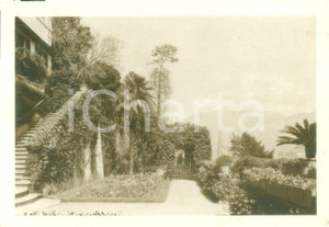 Fotografia d epoca originale 1925 TREMEZZO CO Scorcio del parco di Villa Carlotta Foto THANHOFFER CAMURRI 1