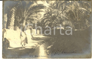 Cartolina originale da collezione 1905 COUTUMES TUNISIE BIZERTE Rue avec une femme Carte postale VINTAGE 1